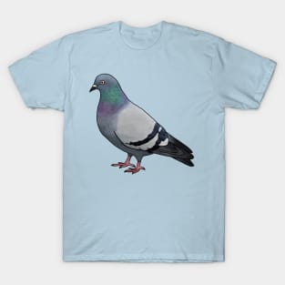 Dirty ol street pigeon T-Shirt